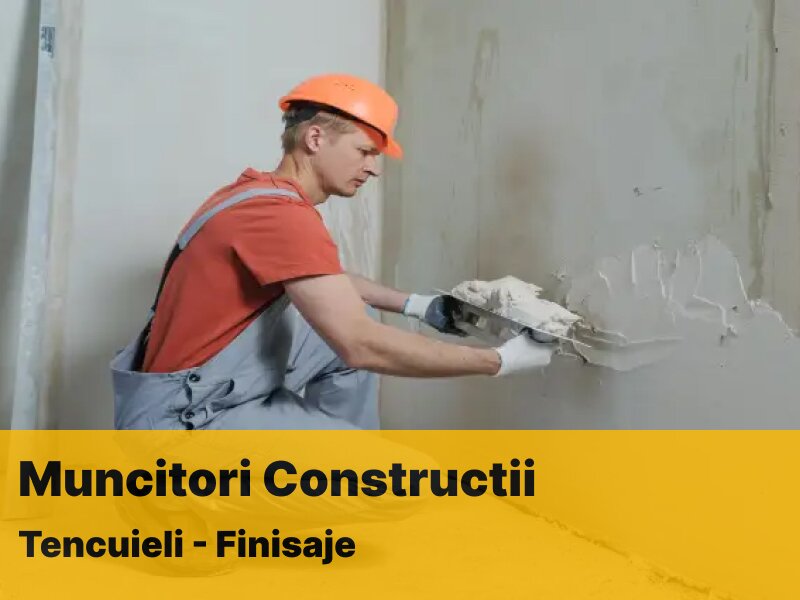 Muncitori zilieri necalificati constructii.